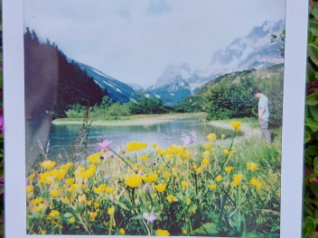 Una delle immagini scattate con la Polaroid