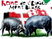 Il combat de reines de l'Espace Mont-Blanc si svolgerà domenica 8 septembre 2019 nell’Hérens Arena di Les Haudères (CH).
